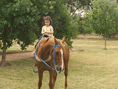 Una niña montando a caballo entre los árboles del campo.